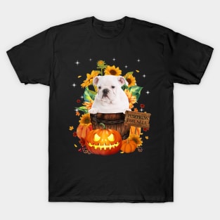 White English Bulldog Halloween Pumpkin Fall Bucket T-Shirt